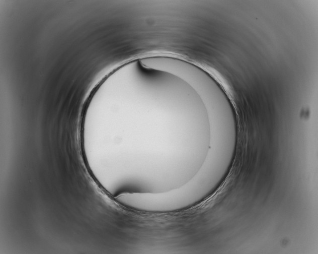 X0000099400910200806051205