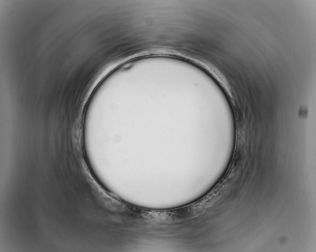X0000099400911200806051205