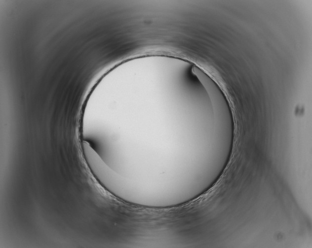 X0000099400912200806051205