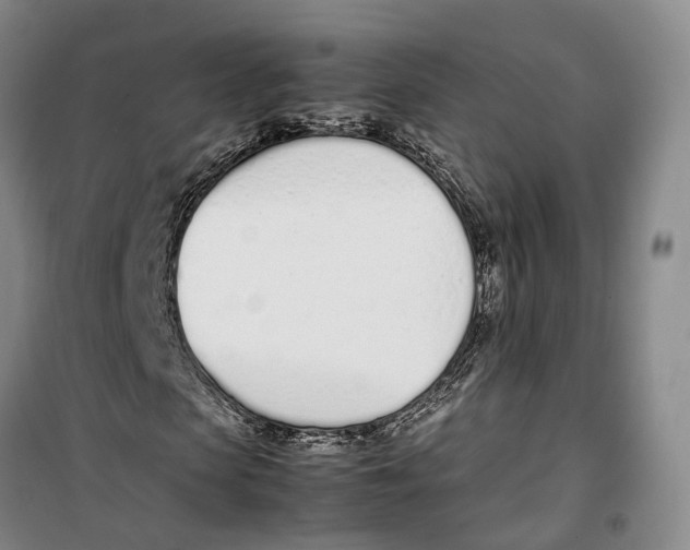 X0000099400913200806051204
