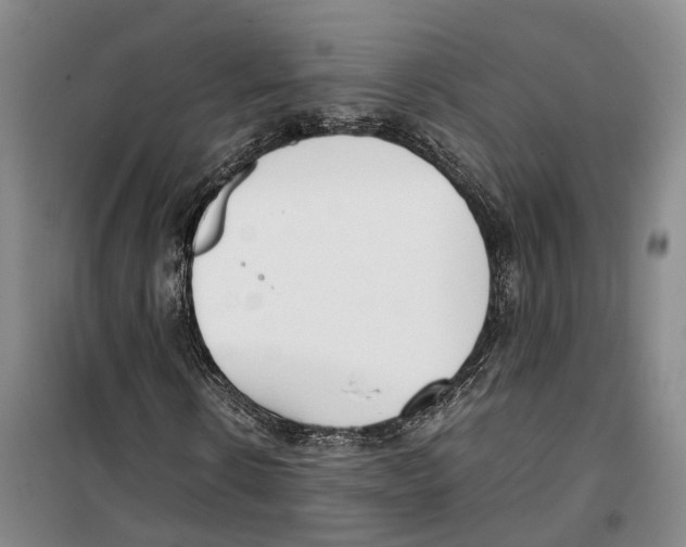 X0000099400914200806051204