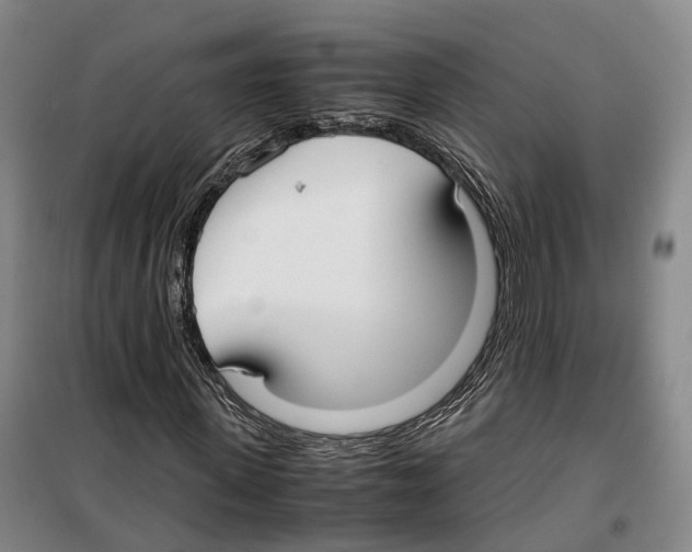 X0000099400915200806051204