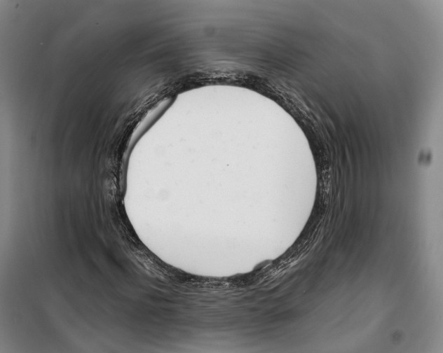 X0000099400916200806051204