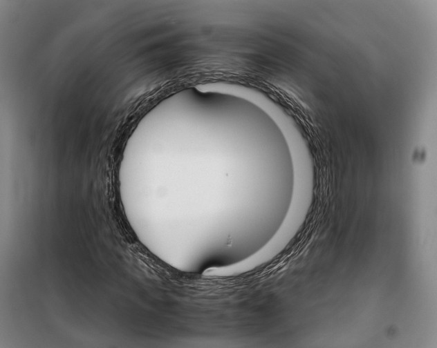 X0000099400917200806051204
