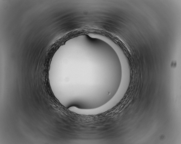 X0000099400919200806051204