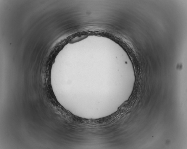 X0000099400920200806051204