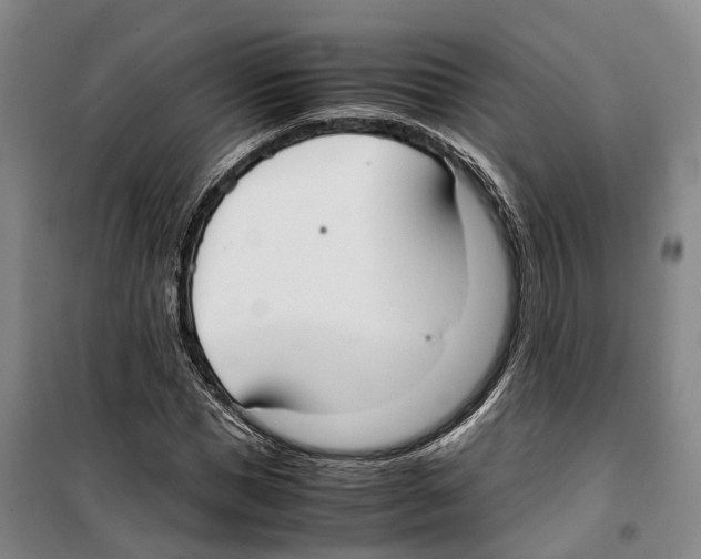 X0000099400921200806051204