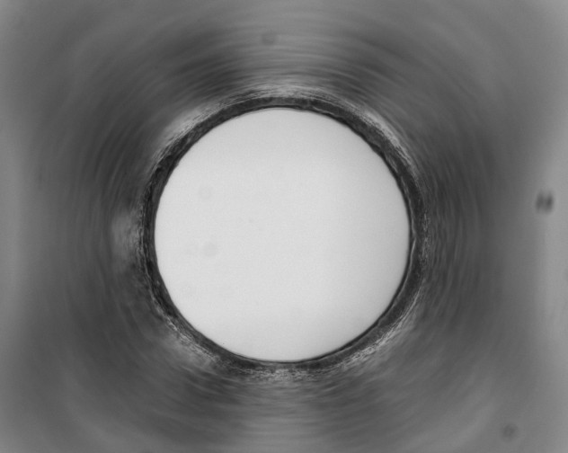 X0000099400922200806051204
