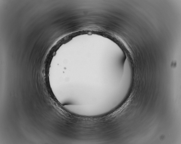X0000099400923200806051204