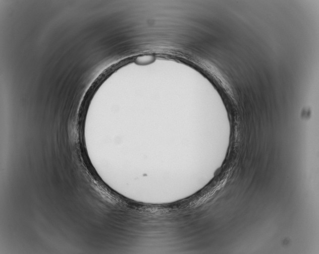 X0000099400924200806051204