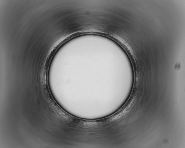 X0000099400925200806051204