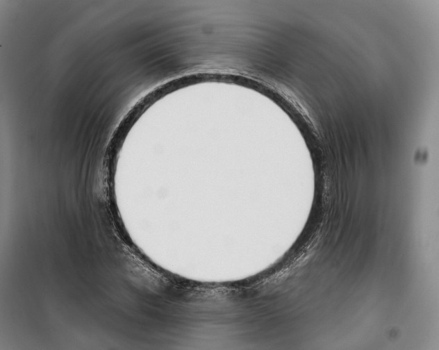 X0000099400926200806051204