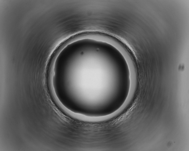 X0000099400927200806051204