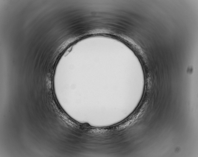 X0000099400929200806051204