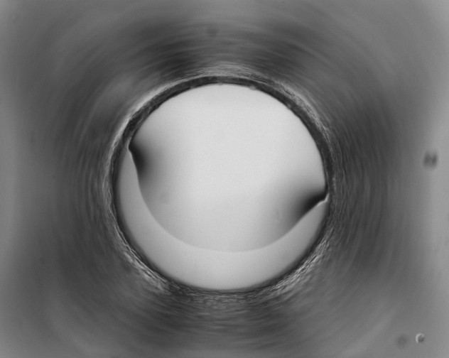 X0000099400931200806051204
