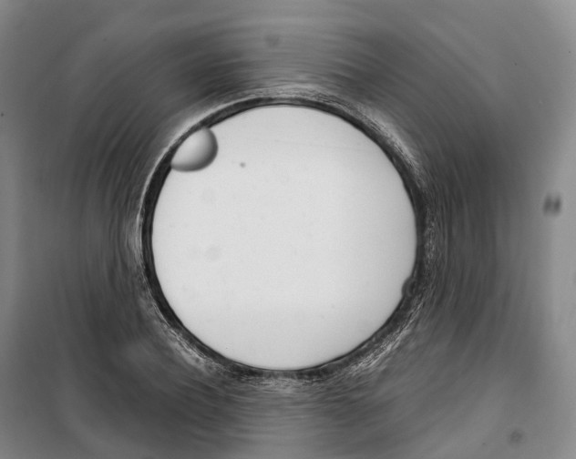 X0000099400932200806051204