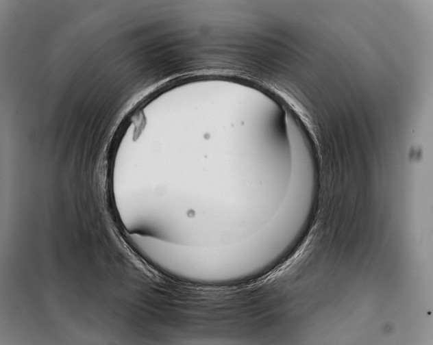 X0000099400933200806051204