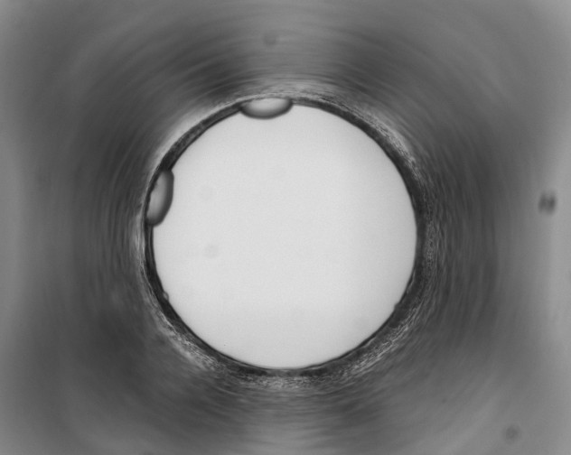X0000099400936200806051204