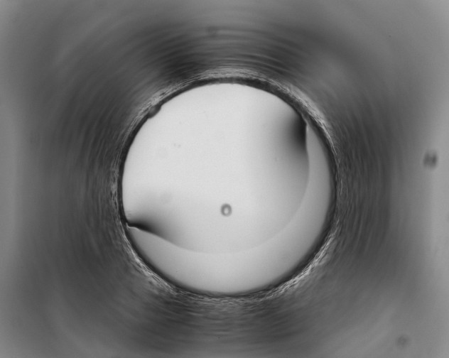 X0000099400937200806051204