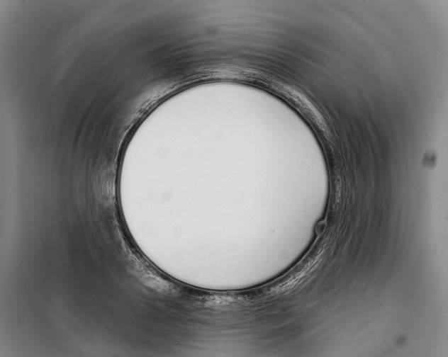 X0000099400938200806051204