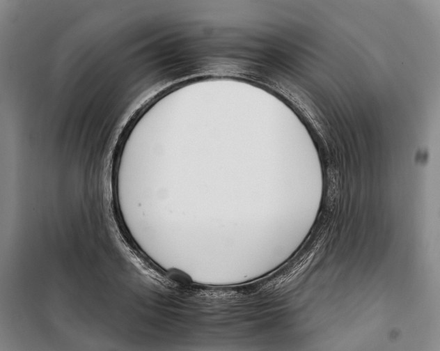 X0000099400939200806051204