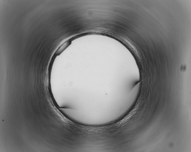 X0000099400940200806051204
