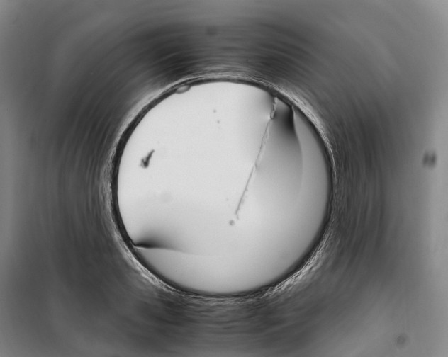 X0000099400941200806051204