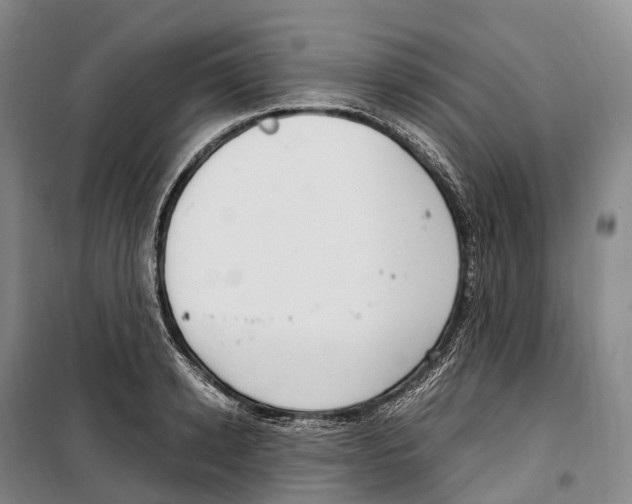 X0000099400942200806051204
