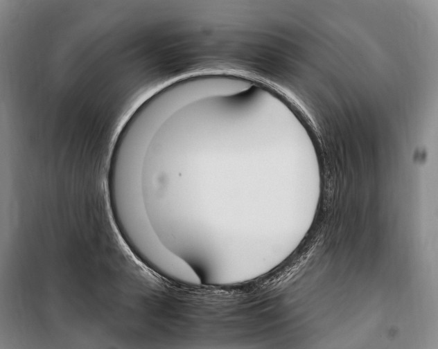 X0000099400943200806051204