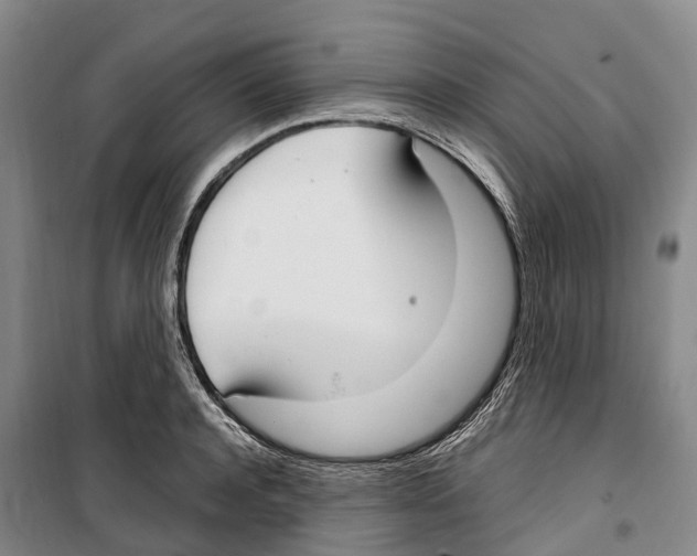 X0000099400944200806051204