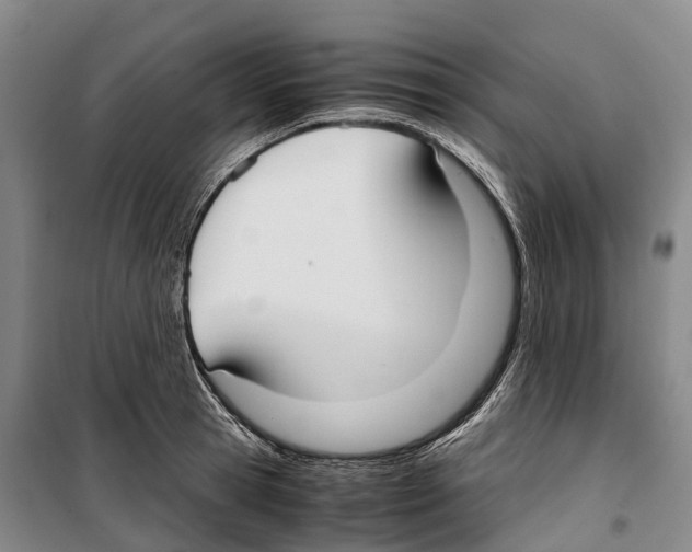 X0000099400945200806051204