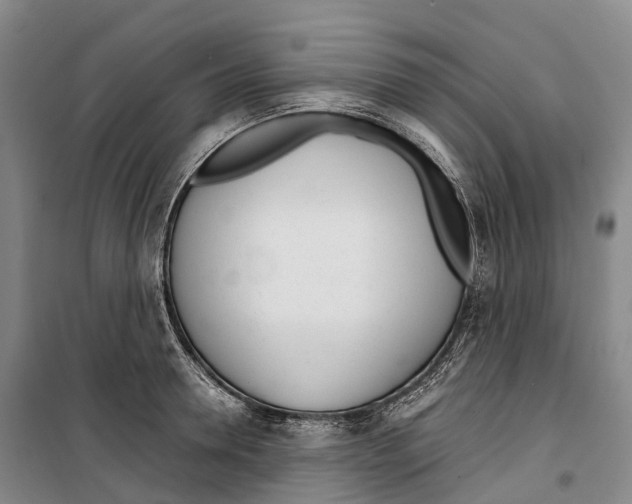 X0000099400946200806051204