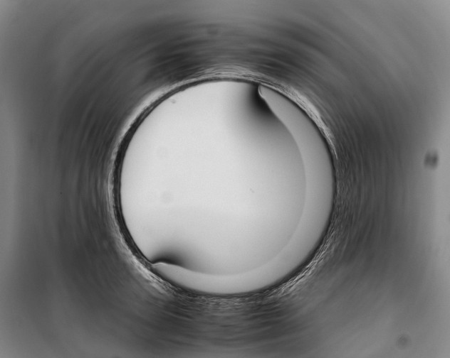 X0000099400947200806051204