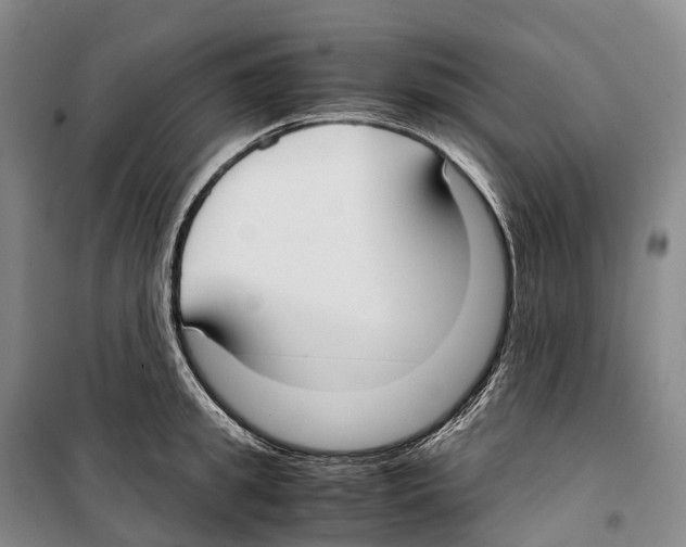 X0000099400949200806051204