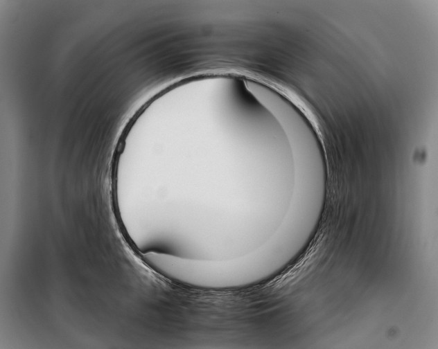 X0000099400951200806051204