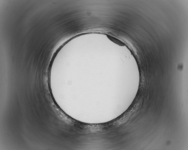 X0000099400952200806051204