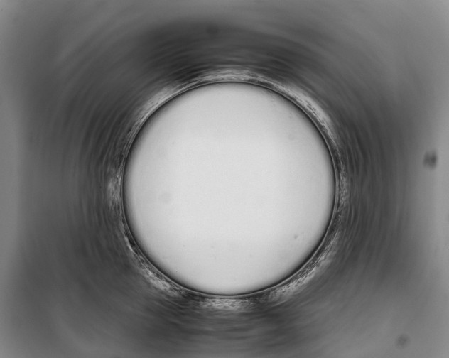 X0000099400953200806051204