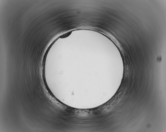 X0000099400955200806051205