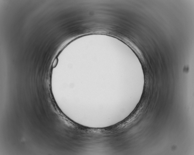 X0000099400956200806051205