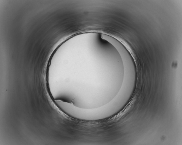 X0000099400957200806051205