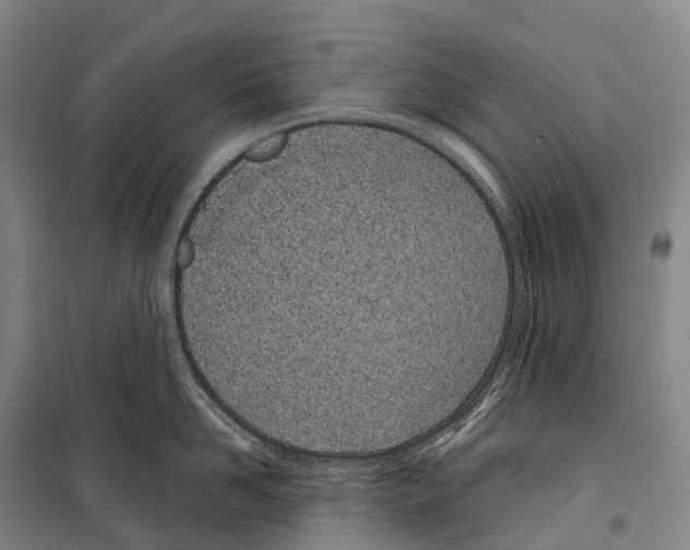 X0000099400958200806051205