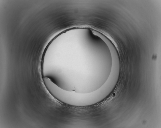 X0000099400959200806051205