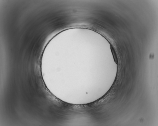 X0000099400960200806051205