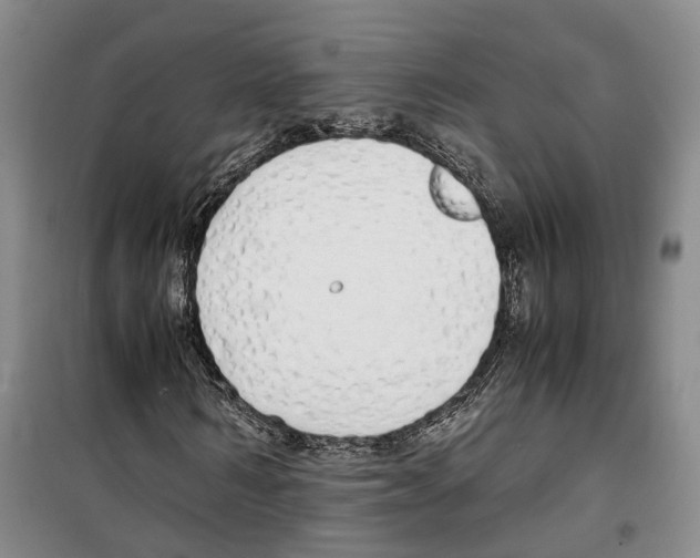 X0000099400962200806051204