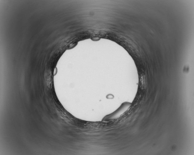 X0000099400963200806051204