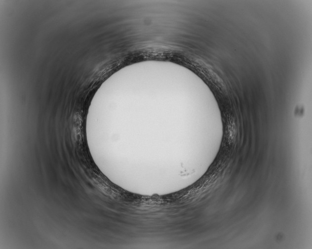X0000099400964200806051204