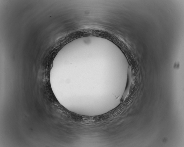 X0000099400965200806051204