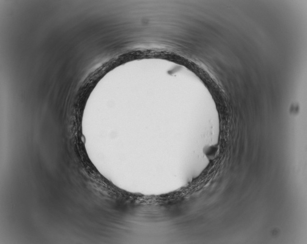 X0000099400967200806051204