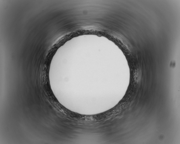 X0000099400968200806051204