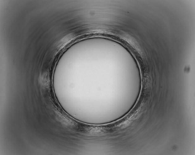 X0000099400969200806051204